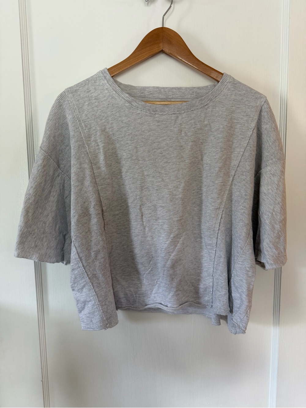 Aerie Let Loose Fleece Cropped Tee Shirt